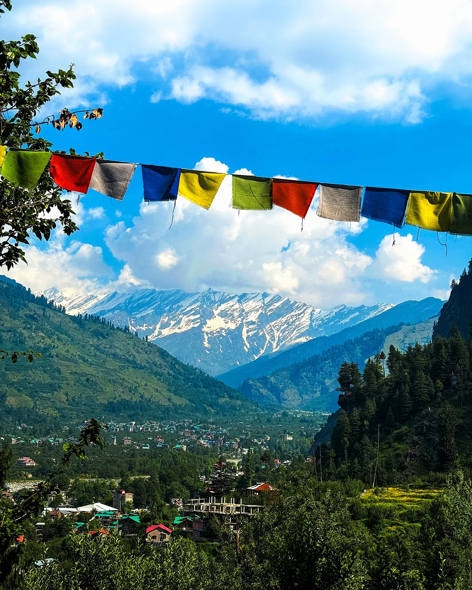 Manali Himalayan mountains tour from Delhi NCR